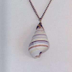 Multi color striped seashell with gold tone chain